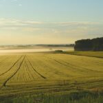 Ile trwa przekształcenie działki rolnej na budowlaną?