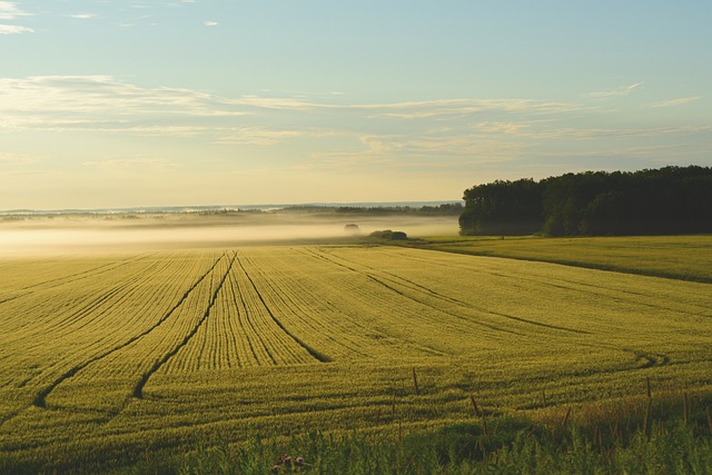 Ile trwa przekształcenie działki rolnej na budowlaną?